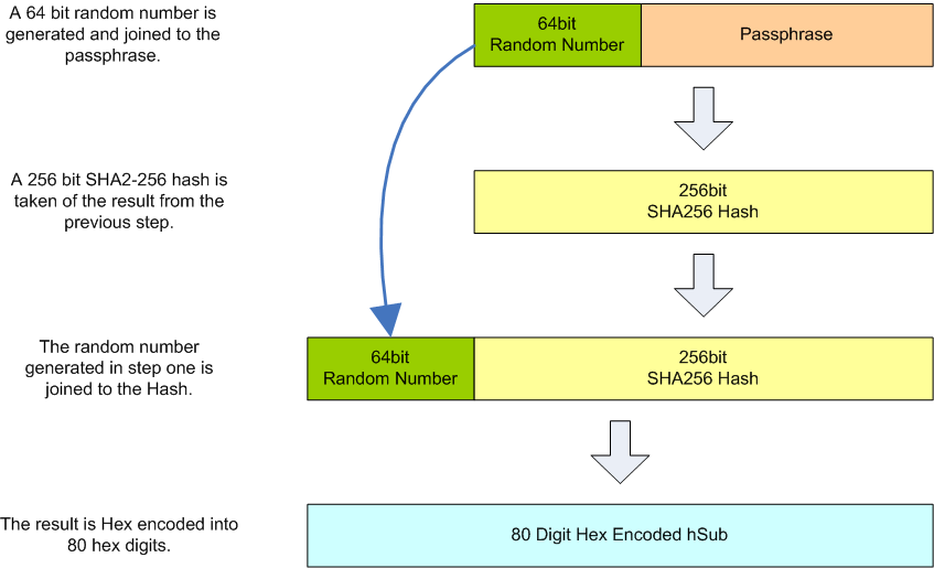 hSub Generation Process